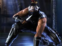 Ninja Gaiden 2