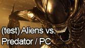 (Test) Aliens vs. Predator